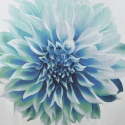 72"x72" Bridget Cotton Percale Shower Curtain -Baxton Studio Store GUEST 06f3d3c7 3e8d 4223 840f d455353e2d55