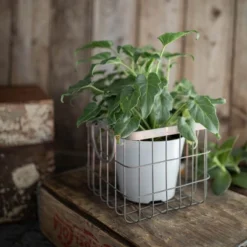 Patina Metal Basket - Foreside Home & Garden -Baxton Studio Store GUEST 20c9d32e 8044 4f33 98af 113cb399da79