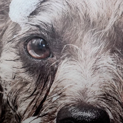 Dog Bath Shower Curtain White - Moda At Home 3 Dog Bath Shower Curtain White - Moda At Home