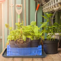 Fleming Supply All-Weather Plastic Indoor/Outdoor Boot Tray Set - 2 Pcs, Dark Gray 12 Fleming Supply All-Weather Plastic Indoor/Outdoor Boot Tray Set - 2 Pcs, Dark Gray -Baxton Studio Store GUEST 3700e1a2 5361 4344 80c1 25b93c43deaa