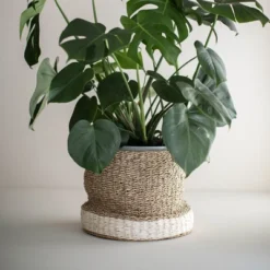 White Rope & Seagrass Basket - Foreside Home & Garden -Baxton Studio Store GUEST 53816324 09cf 46e1 84c5 cd41432c8d09