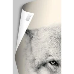 Trends International Disney Pixar Turning Red - Teaser One Sheet Unframed Wall Poster Prints -Baxton Studio Store GUEST 56d31d4e 82a0 4384 abb9 92c9c4c39526