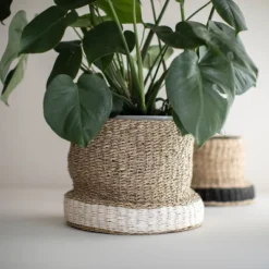 White Rope & Seagrass Basket - Foreside Home & Garden -Baxton Studio Store GUEST c7c6cf00 e009 42d0 a6f6 56101279a8c7
