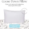East Coast Bedding Down Pillow - White Goose Down & Feather (Standard) -Baxton Studio Store GUEST cf7df163 ada4 4579 8672 2b54a418b5d6